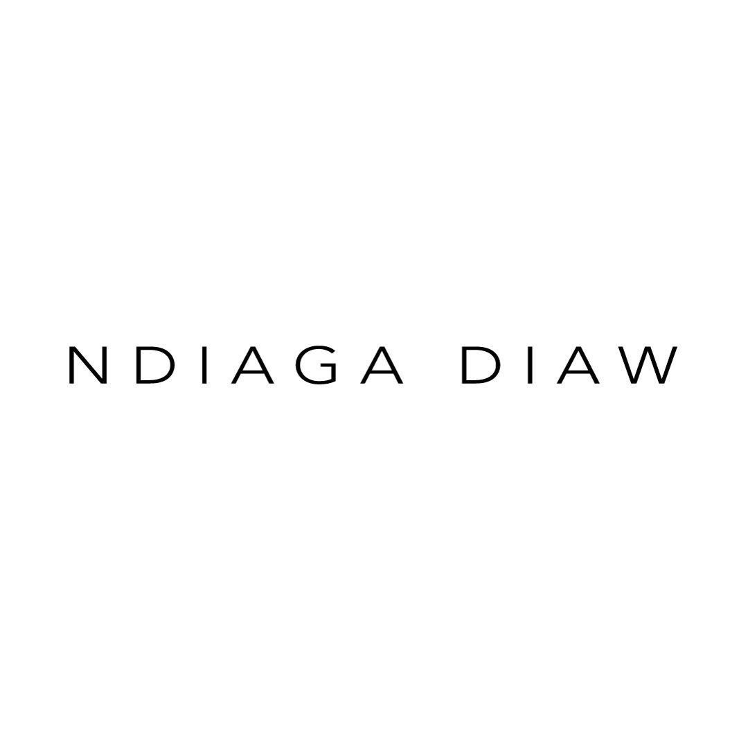 Logo Ndiaga Diaw